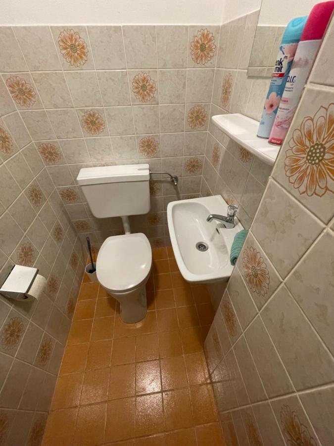 Ferienwohnung Maxi Maishofen Buitenkant foto